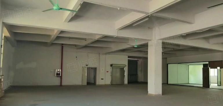 塘厦沙湖楼上精装厂房200平起分价格好谈