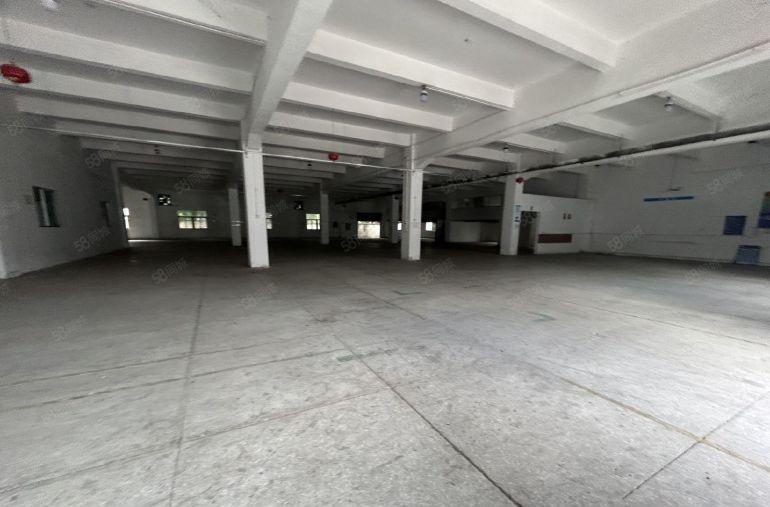 塘厦科苑城独院标准1楼1200平方，高度6米，大小可分租！