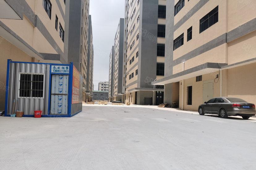 塘厦高速口价格美带卸货平台一楼1000平，丙二类消防仓库厂房