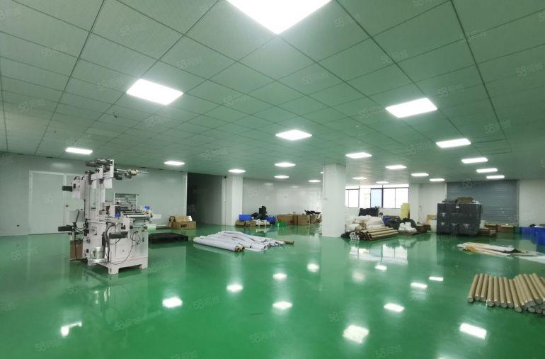 田心原房东红本工业园免装修无尘车间1800平，价格优惠好招工