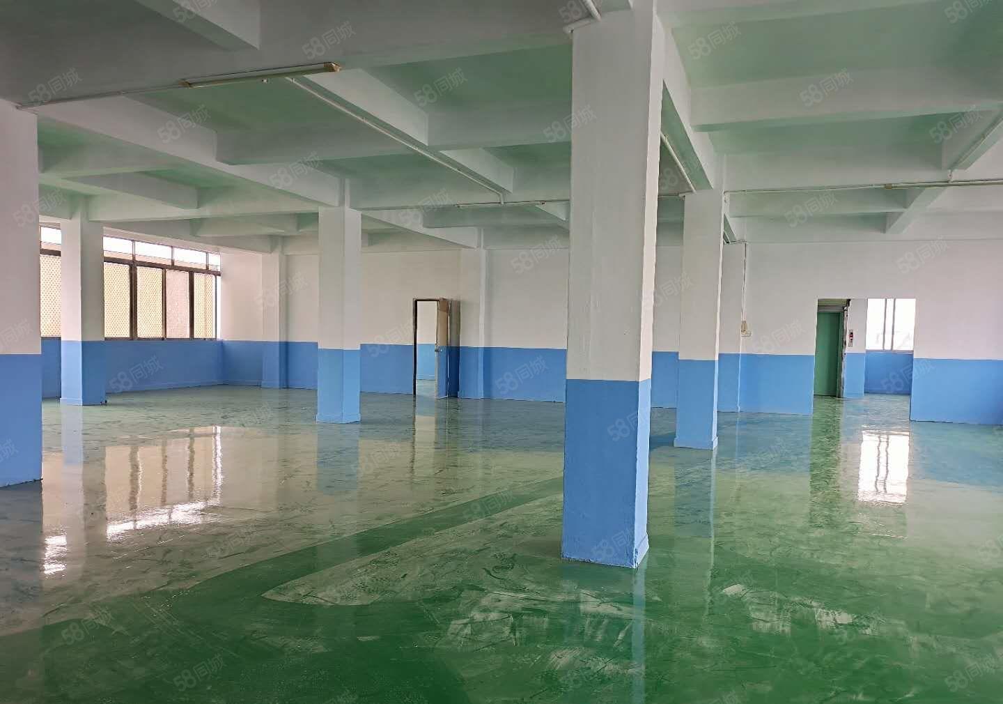 塘厦莲湖独院新出标准5楼580平方！全层地坪漆装修现成办公室