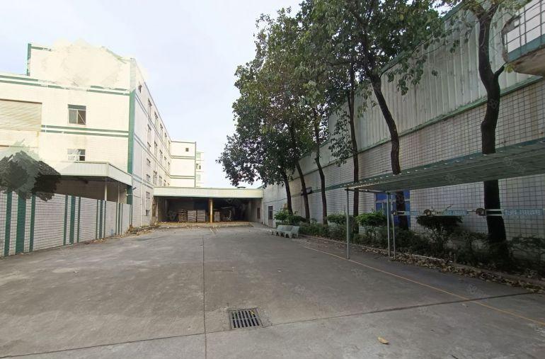 塘厦横塘惊现原房东独院6500平方滴水8米可分租带卸货平台！