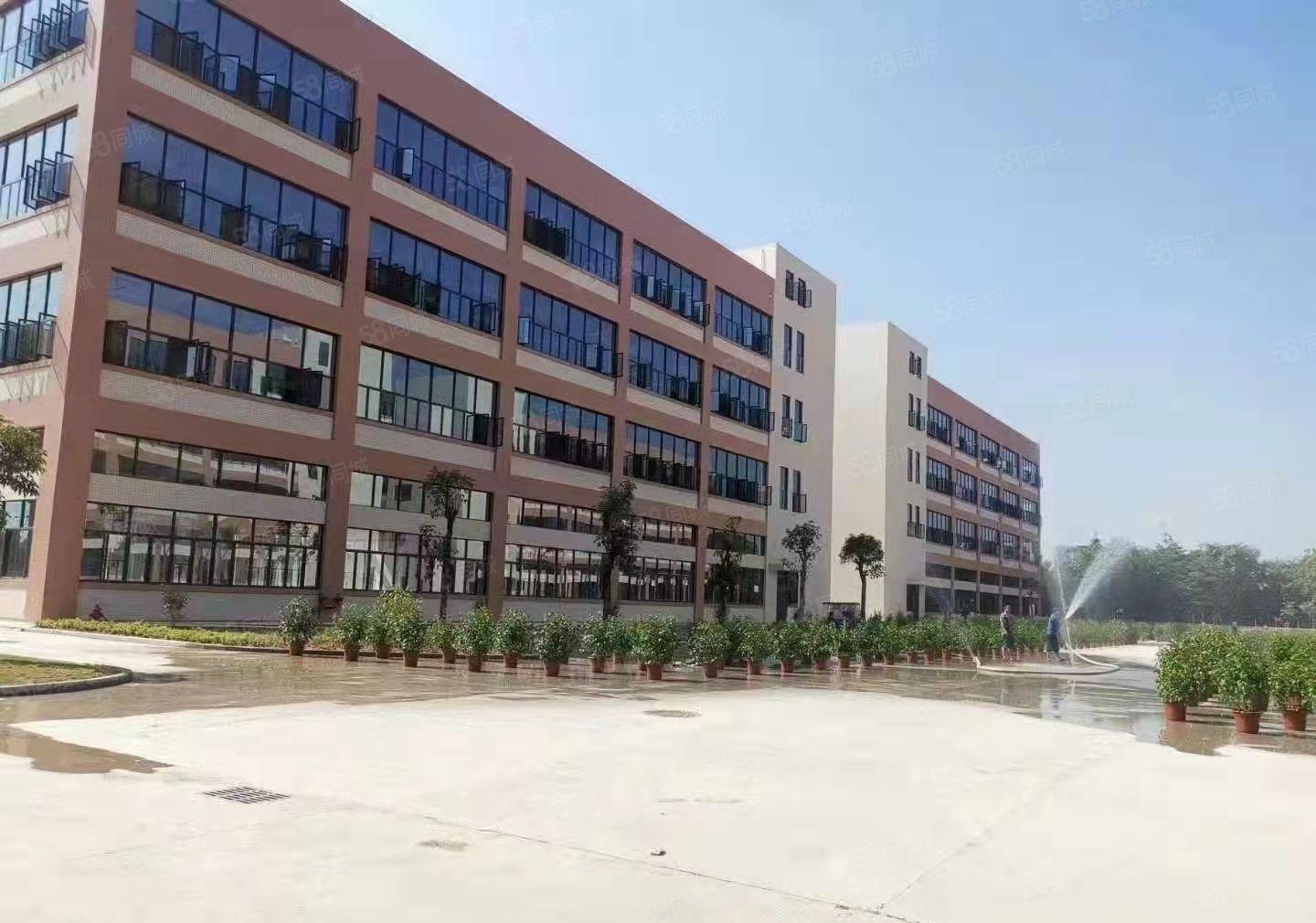 东莞塘厦新出独院 标准厂房11000平 出租