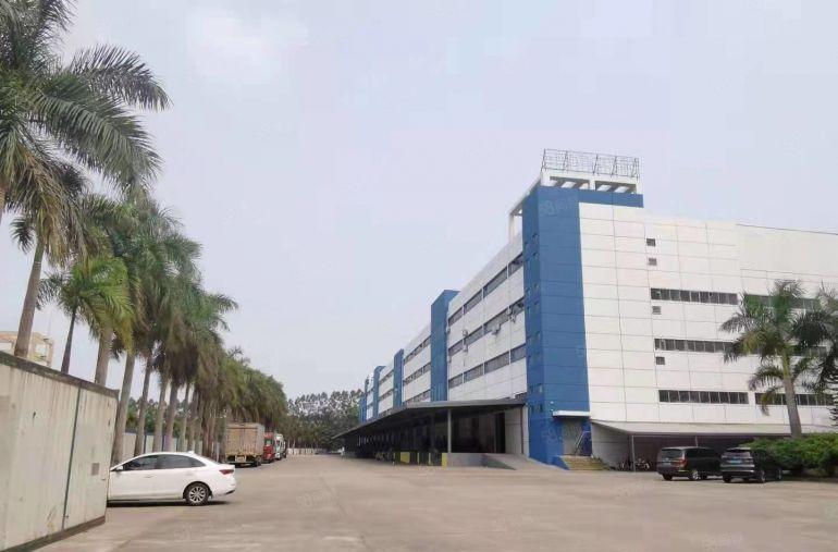 电商仓储物流仓库，塘厦单层10000平带卸货平台厂房仓库出租