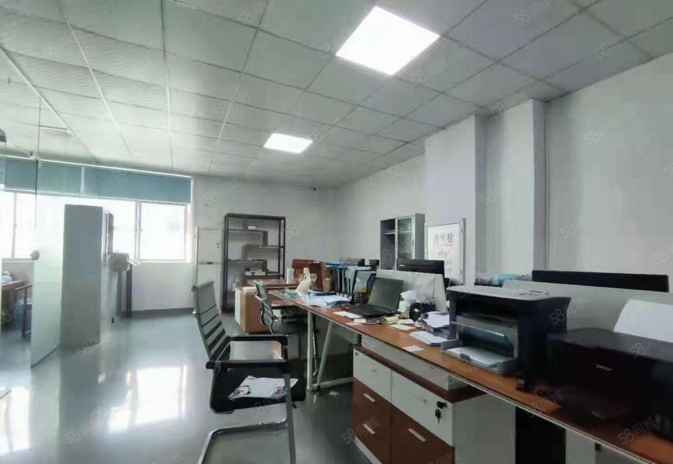 塘厦大坪科苑城 1300平实际面积出租精装厂房  无转让费