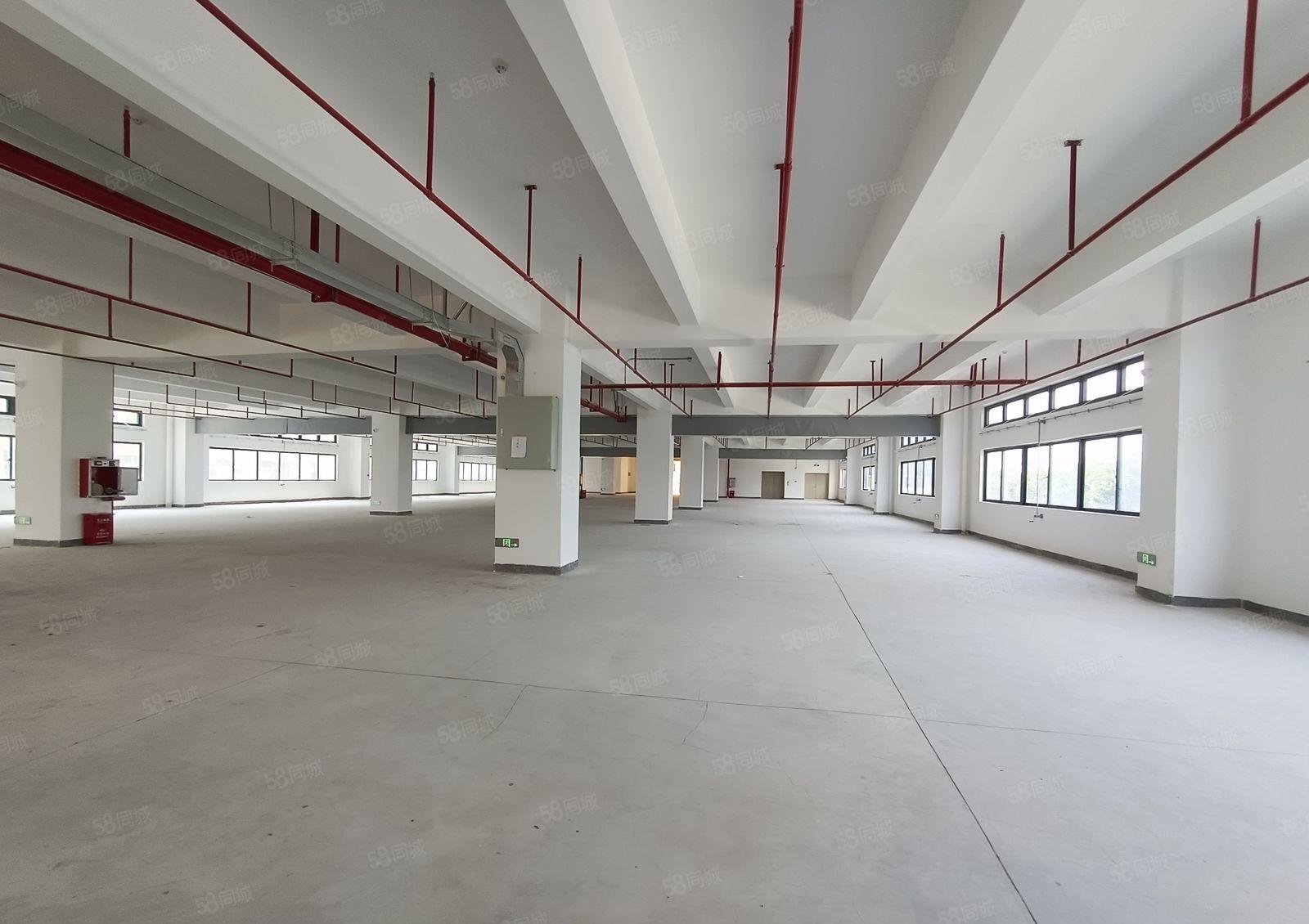 塘厦沙湖全新红本厂房15000平方招租！带消防喷淋，大小分租