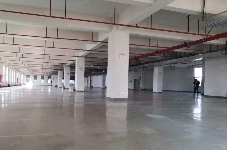 塘厦镇原房东标准三楼1500平方厂房出租，形象超好，价格便宜