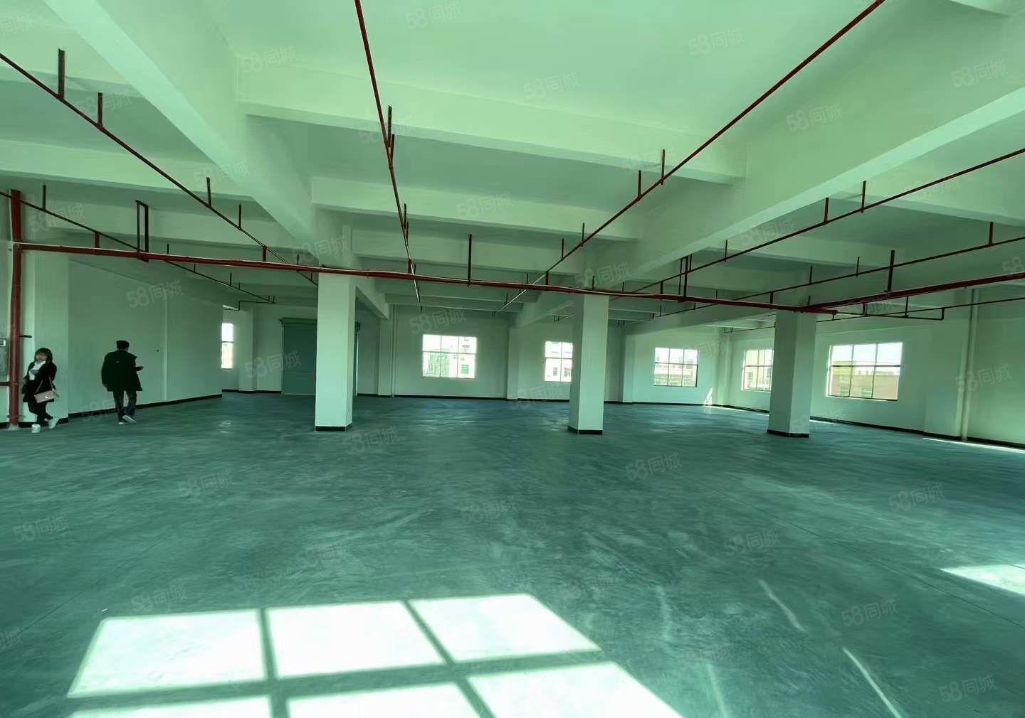 可做电池不限行业!一手房东全新独栋厂房出租780平多层可整租