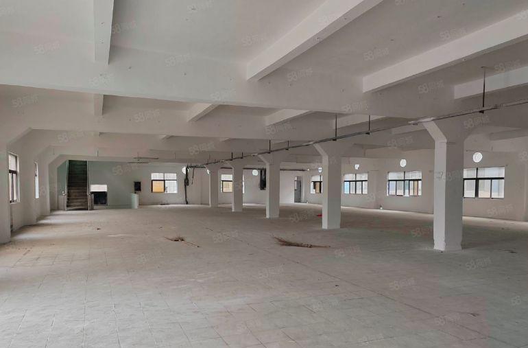 塘厦独院一二楼2000平标准厂房出租，1000平起分，近高速