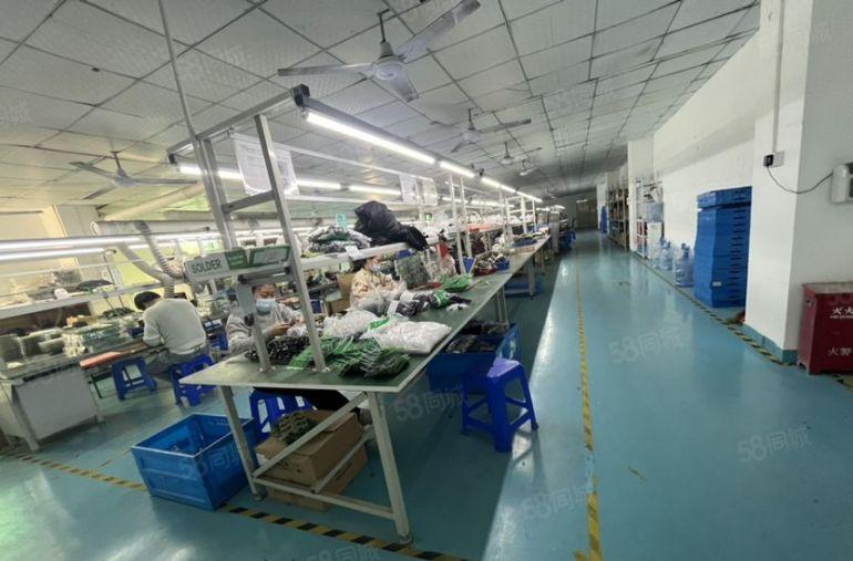 塘厦石马新空楼上600平标准厂房，格局好精装修地坪漆低价出