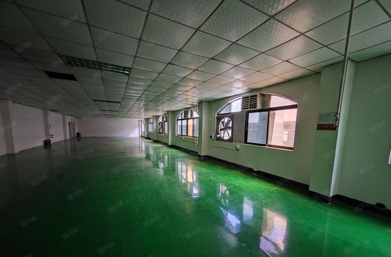 塘厦全新厂房三千平 欢迎来询 房东直租 好说话！