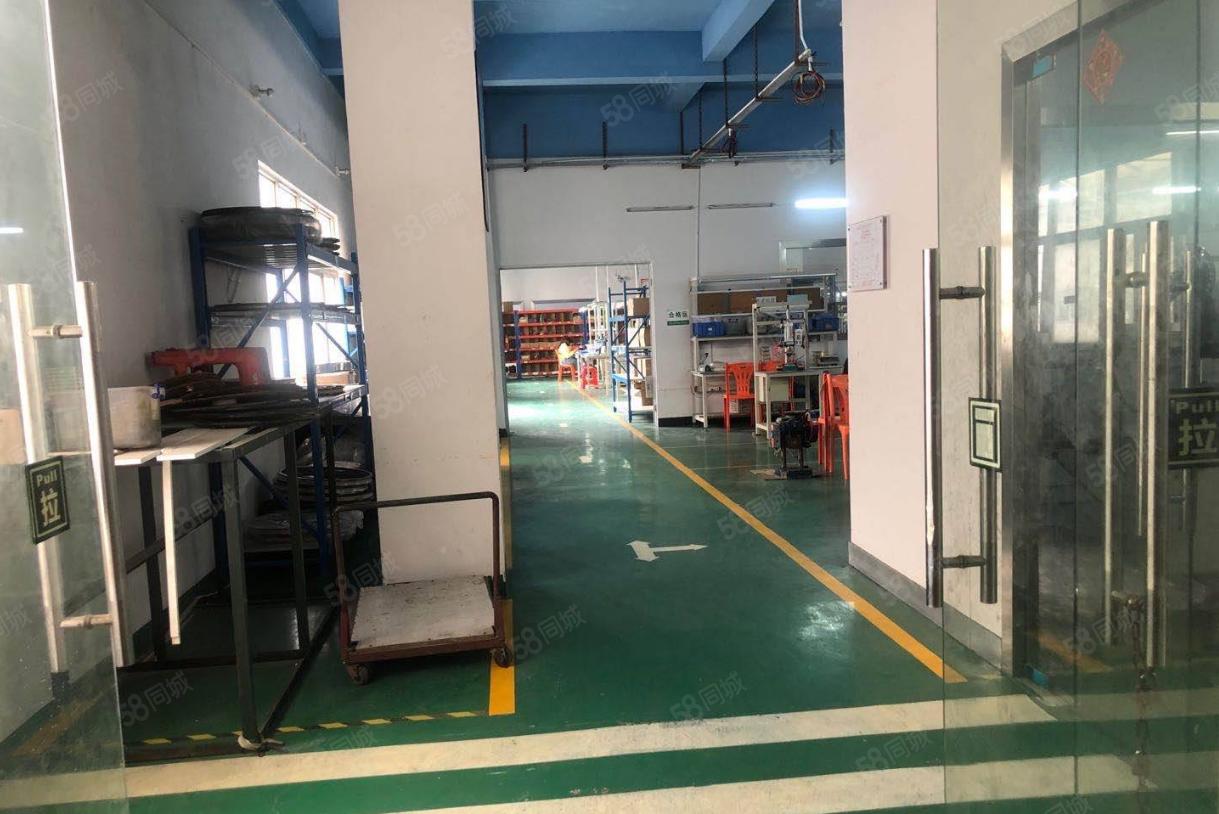 塘厦林村标准独院3300平，易招工，现成装修水电，原房东