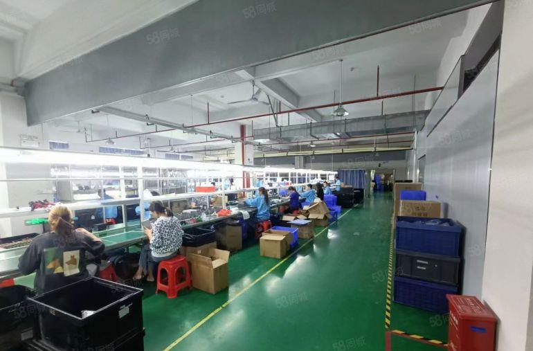 塘厦沙湖新出楼上2800平厂房仓库出租，现成装修，拎包生产