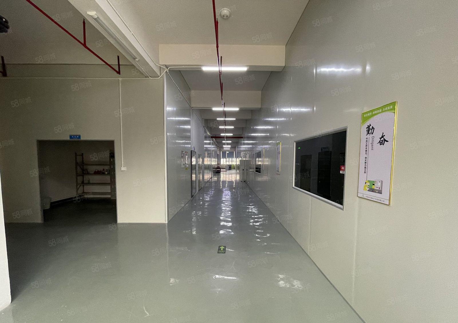 沙湖4楼标准厂房2950平方  货梯俩部俩吨 超大停车场