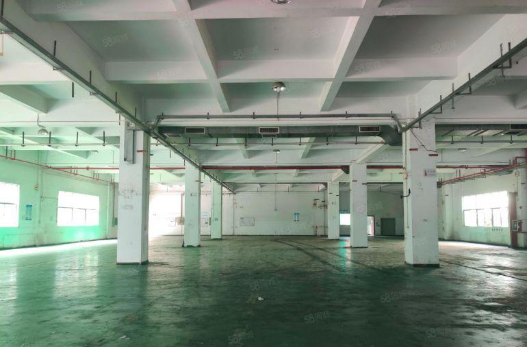 10元塘厦原房东精装修带水电独院厂房出租1到4楼500平起分