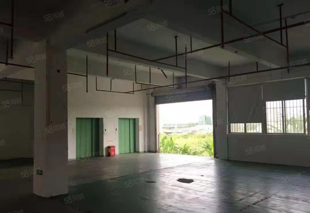 东莞塘厦四村新出标准厂房12000平方出租