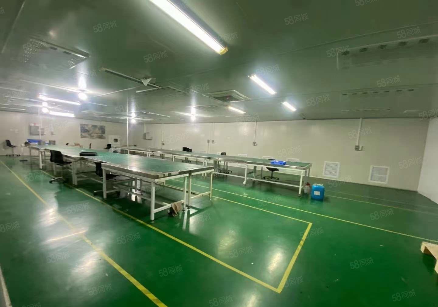 无转让费 塘厦莲湖十万级无尘车间厂房出租1680平 拎包入驻