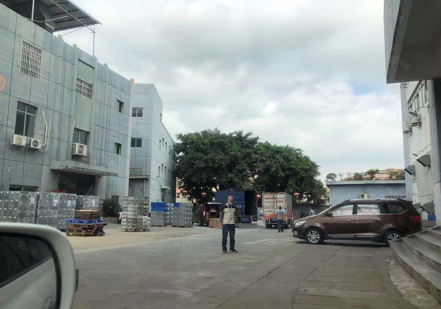 塘厦原房东厂房出租，2楼实积面积是1196.47平方