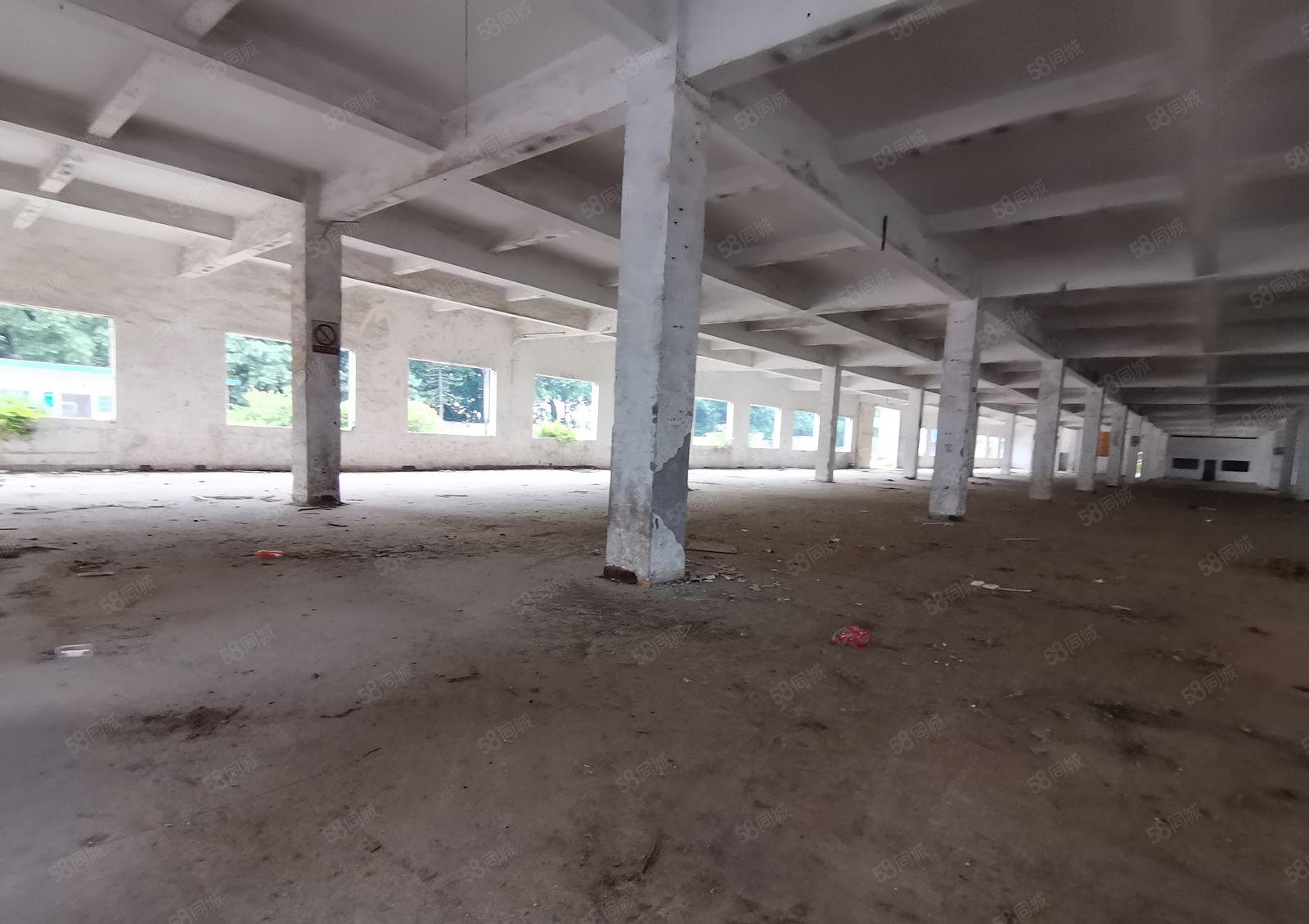 2百平起分租塘厦石鼓工业区独院3千平红本仓库厂房出租空地超大