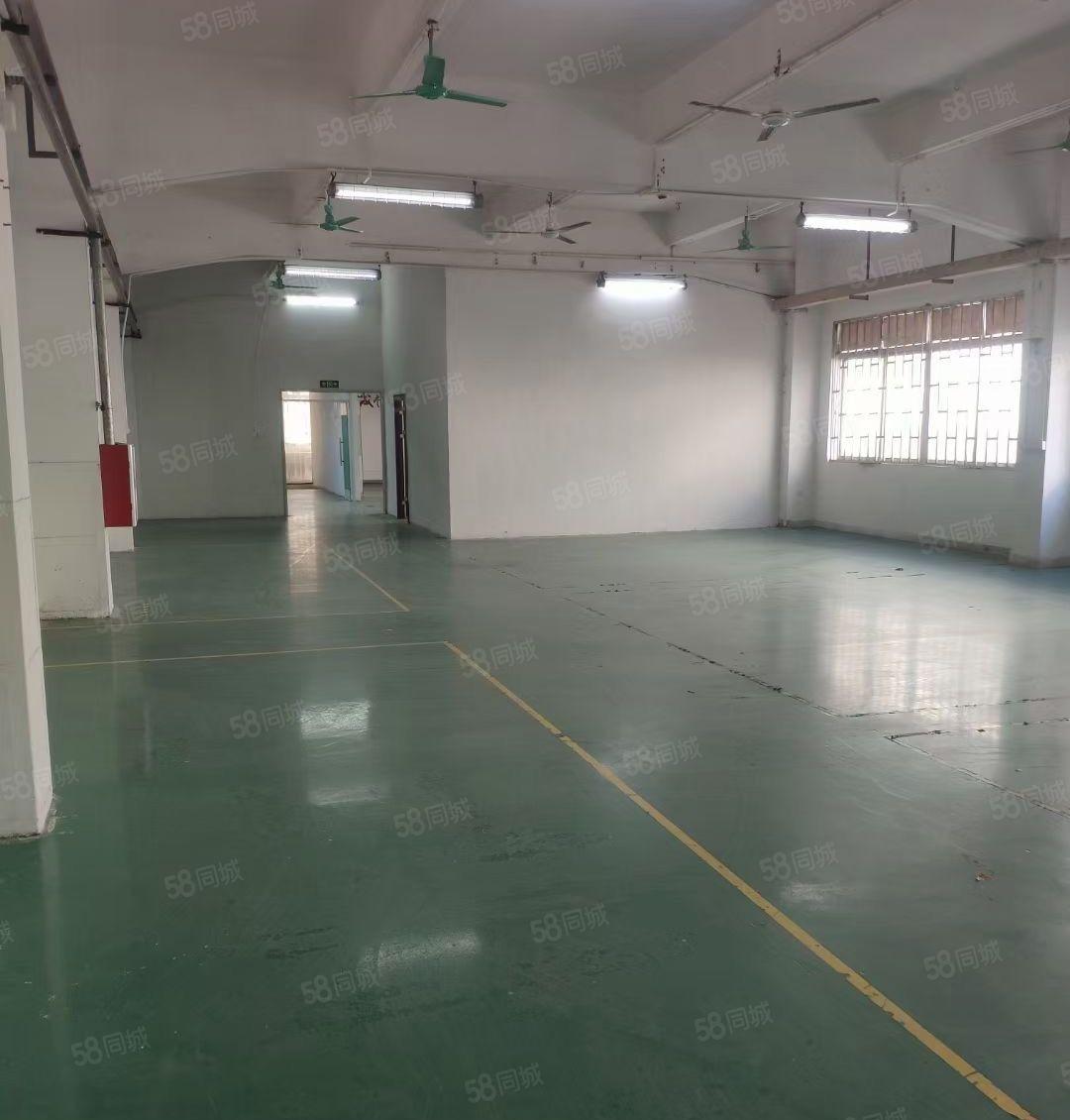 塘厦龙背岭刚空出楼上标准厂房600平，实际面积出租独院近高速