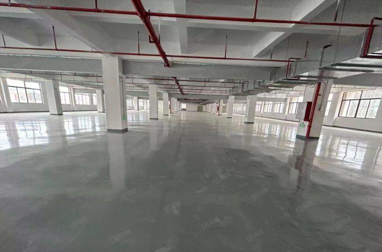 塘厦桥陇原房东直租楼上5000平，全新地坪漆精装修，消防合格