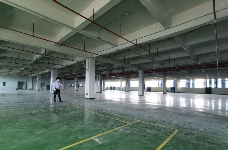 塘厦高速新出二楼厂房5080平方，超大空地，适合仓储物流