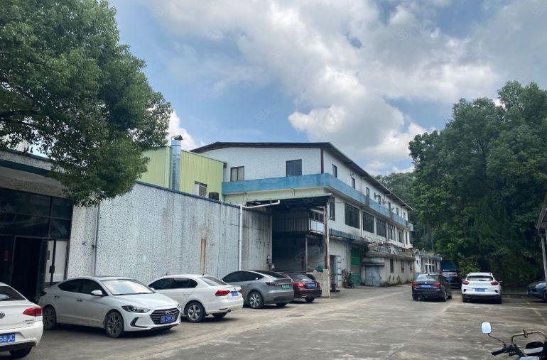 塘厦新出独门独院交通方便可分租