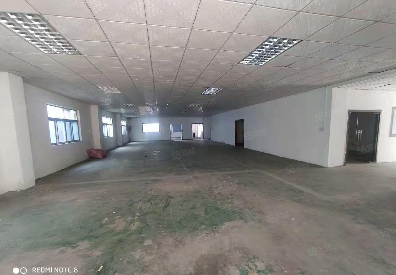 东莞塘厦镇独门独院标准厂房4500平方 出租