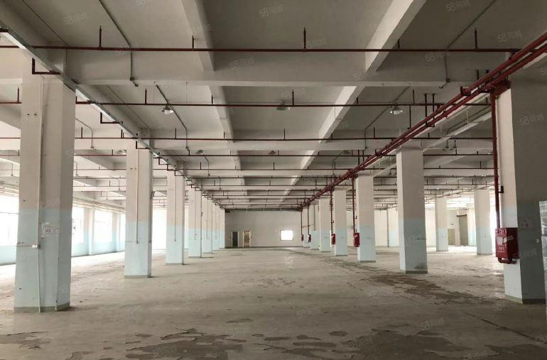 18元！塘厦大坪高速出口一手房东一楼3000平厂房仓库出租