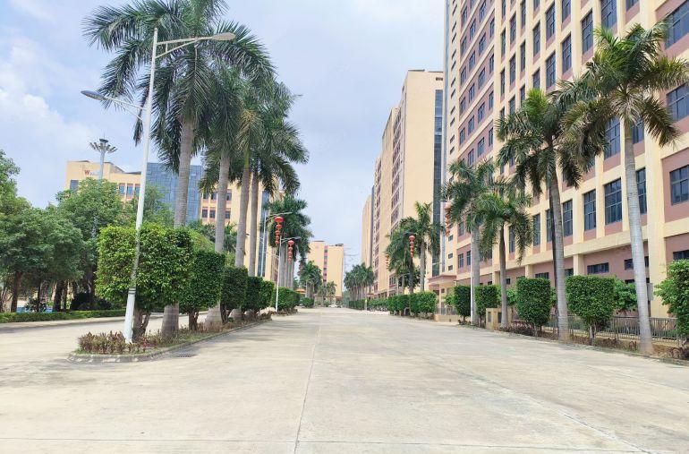 塘厦林村1000平到54000平厂房仓库出租原房东0公摊红本