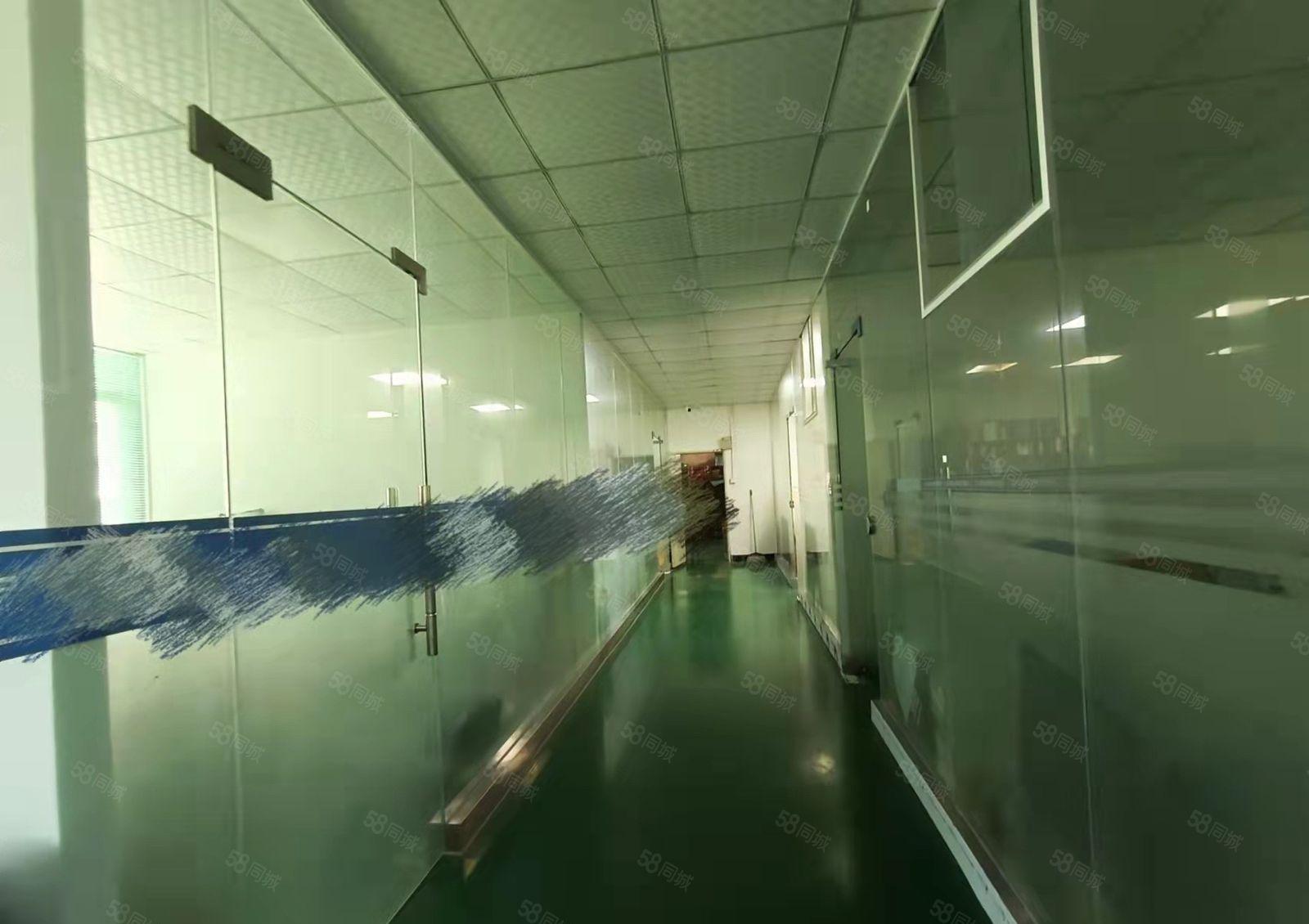 塘厦镇中心厂房二楼厂房出租水电线路齐全空地大形象好