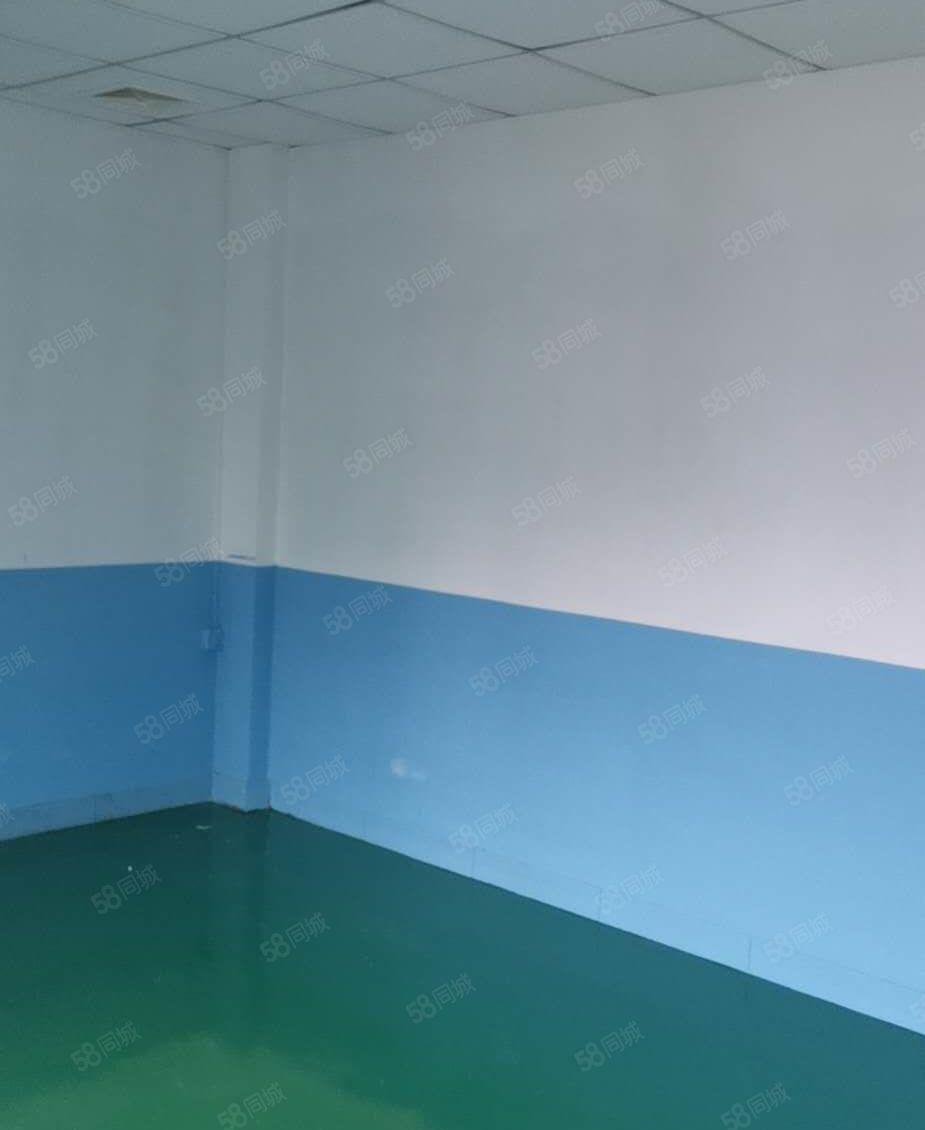 塘厦莲湖独院新出标准5楼580平方！全层地坪漆装修现成办公室