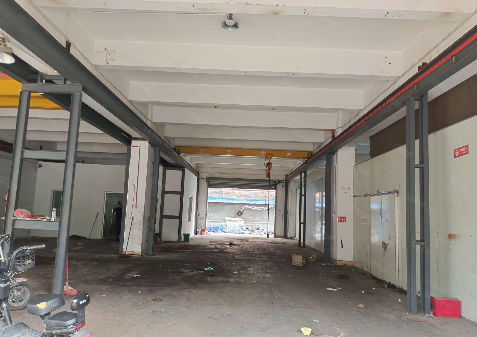 塘厦横塘新出标准一楼500平带现成航车，现成办公室！水电齐