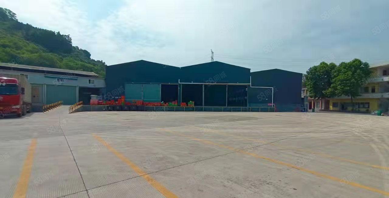 东莞塘厦新出23000平米物流 仓出租