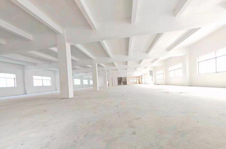 原房东直租！塘厦沙湖独门独院厂房出租4800平，实际面积！