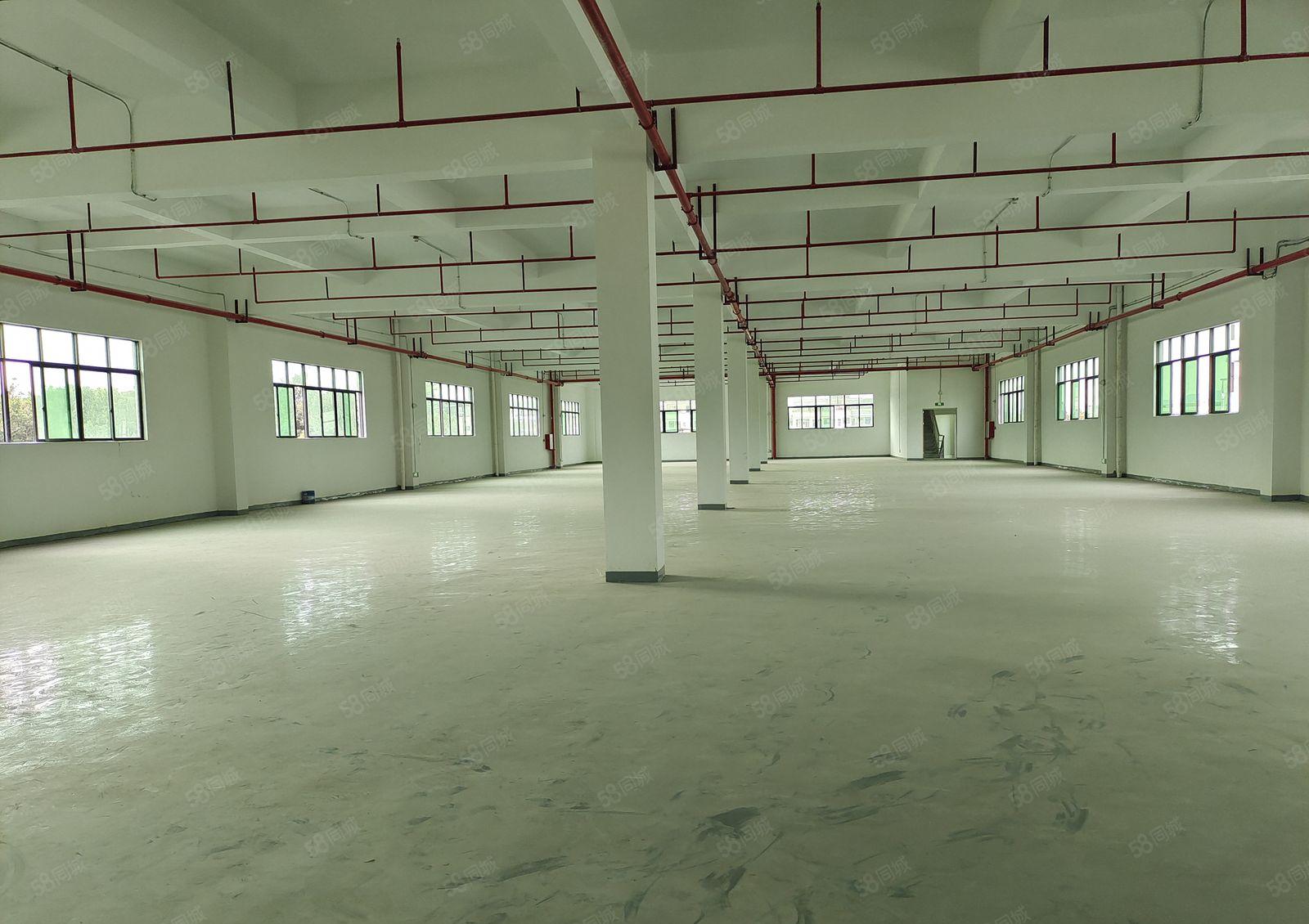 塘厦二楼和三楼各1500平方厂房，靠近深圳