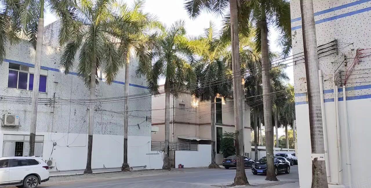 塘厦平山一楼6米高钢构无柱子厂房仓库实际面积出租，路边空地大