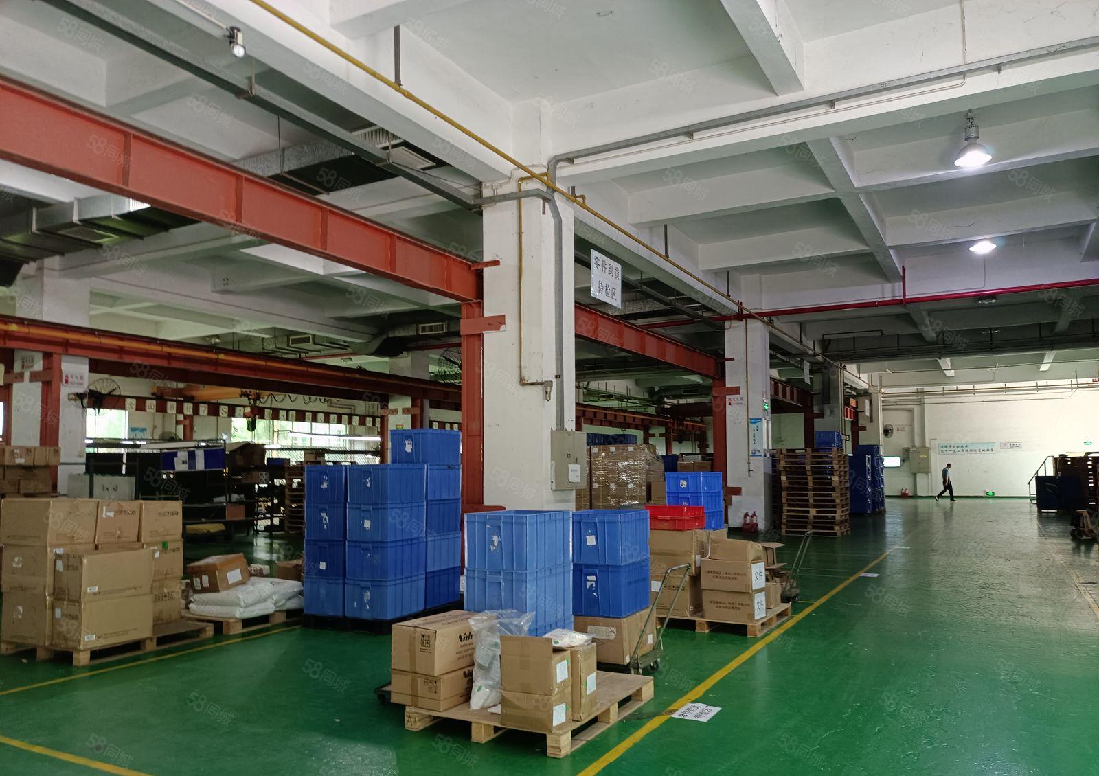 塘厦外环高速口新出独院厂房16500平方原房东直租，可分租！