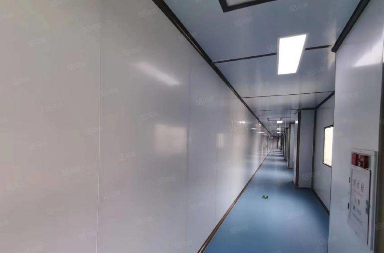 塘厦中心区千级无尘车间8000平，原房东直租可分租，现成装修