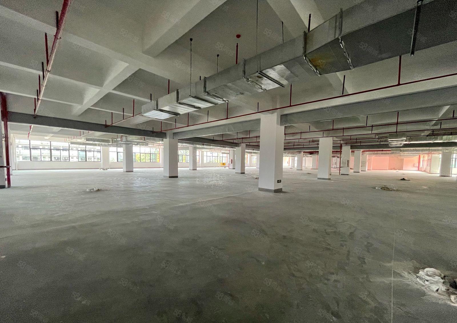 塘厦沙湖全新厂房二楼3000平原房东实际面积仓库 工制造低价