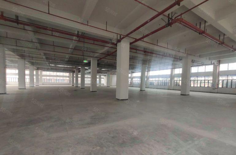 塘厦高速出口标准一楼2800平方，滴水6米，空地大