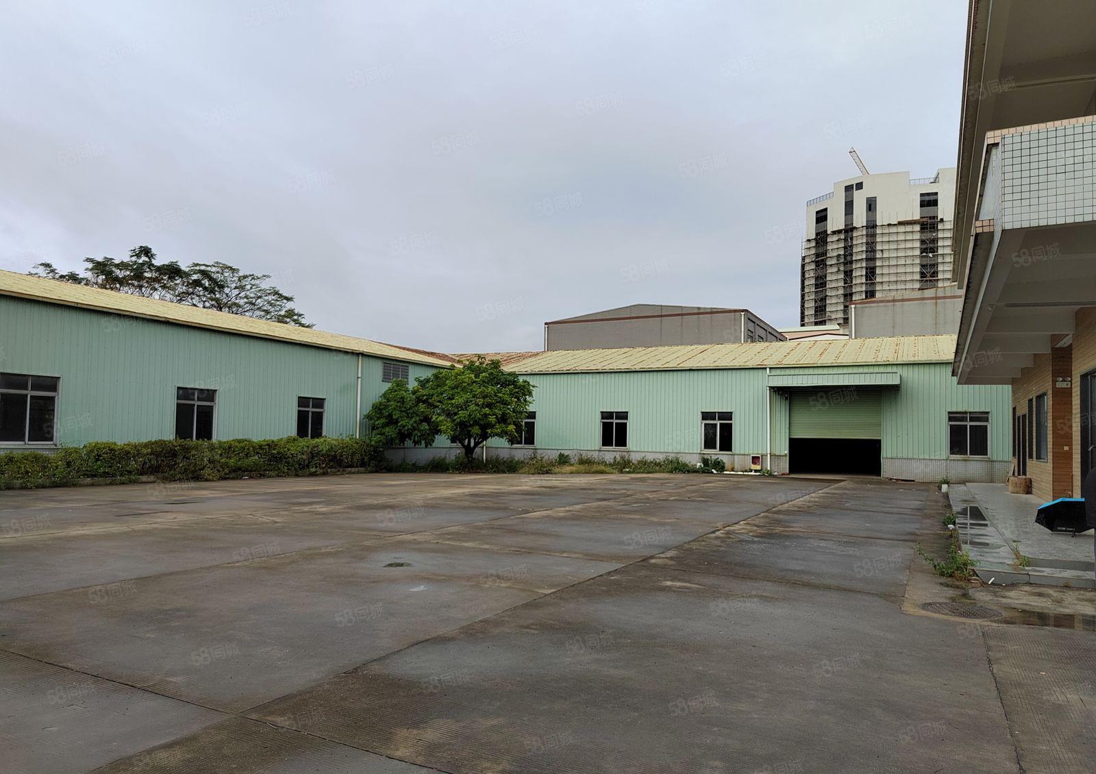 大进工业园低价新出超大空地单一层独院厂房出租