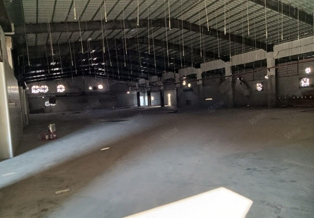 塘厦新出经典小独院总面积7800平方整租