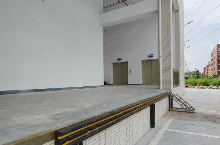 塘厦全新厂房出租全新重工业厂房1500平方起租采光通风好