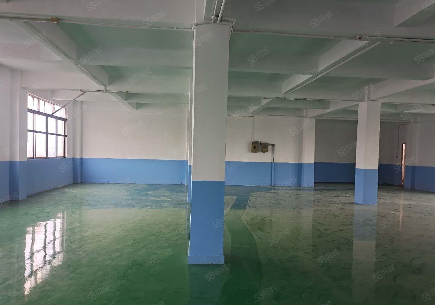 塘厦莲湖独院新出标准5楼580平方！全层地坪漆装修现成办公室