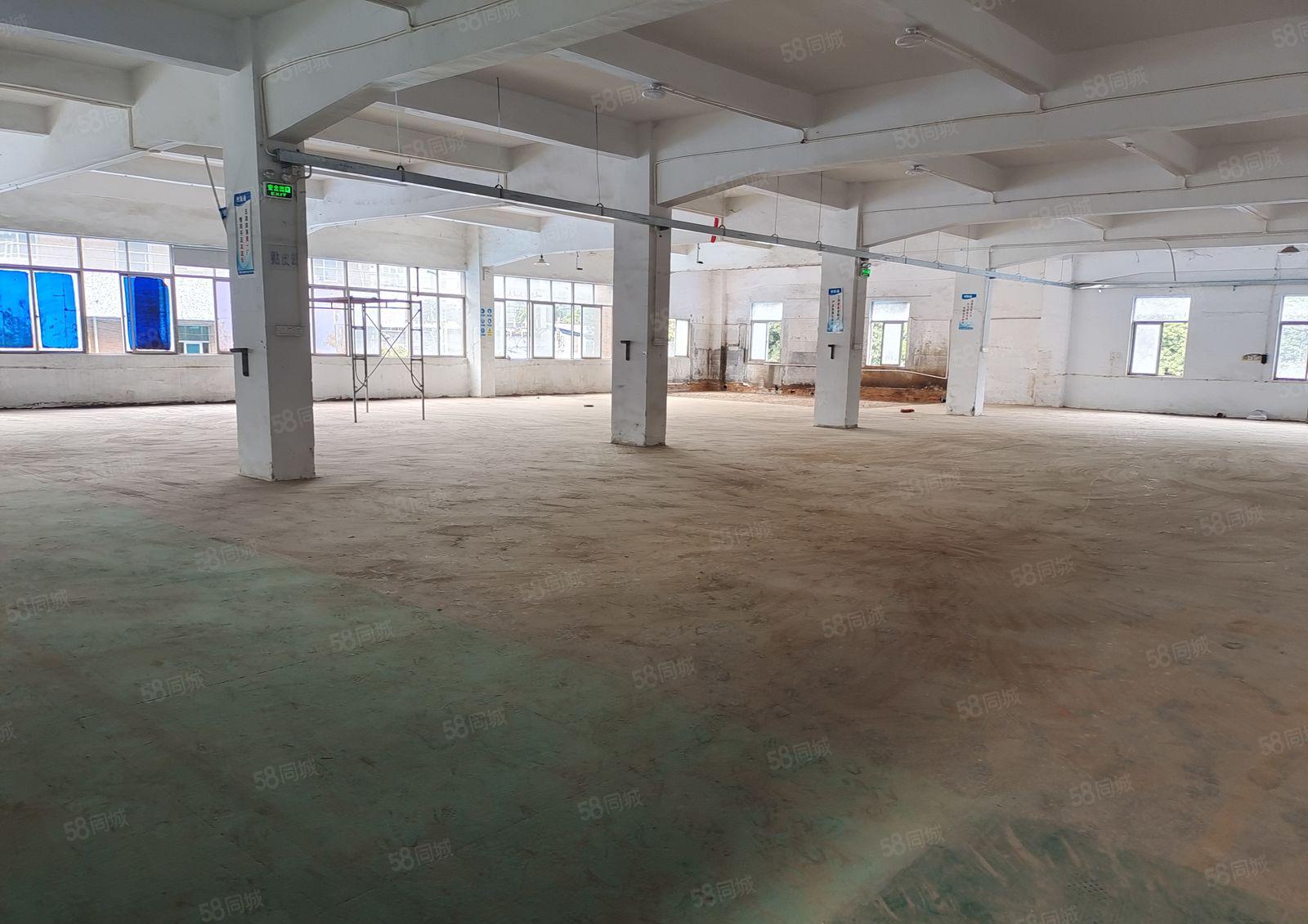 塘厦独门独院标准厂房两层加两层宿舍4800平米，可以做有污染