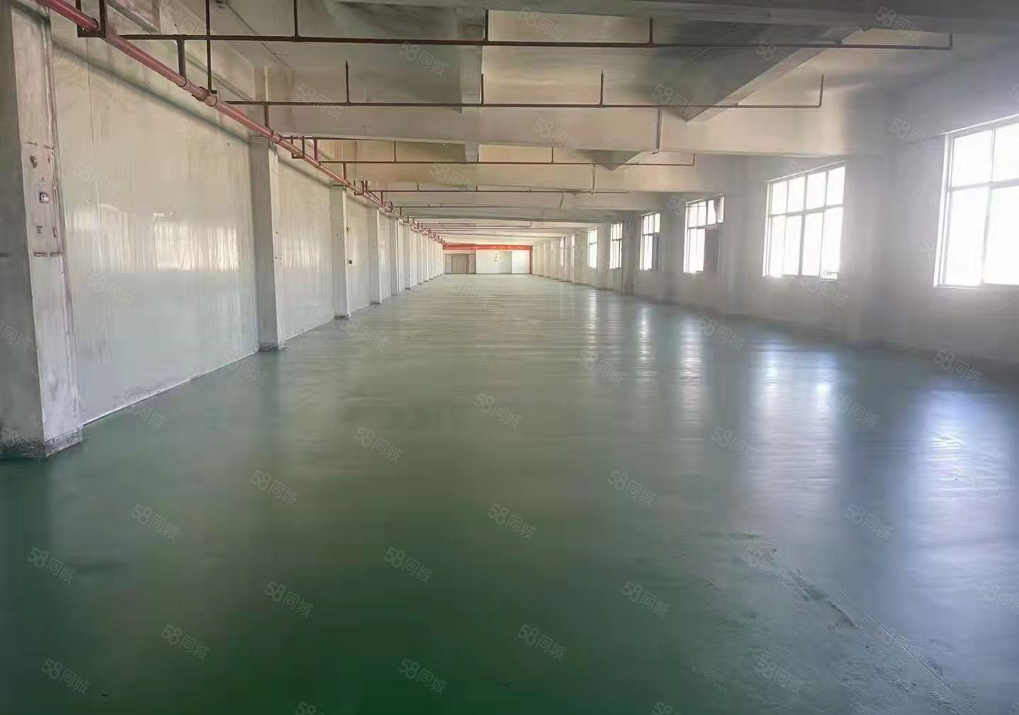 东莞塘厦镇石马新出楼上标准厂房500平米出租