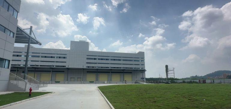 8元电商仓库物流园塘厦红本独院45000平带卸货平台厂房出租