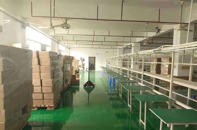 塘厦沙湖一手房东自建楼上2000平带办公装修厂房仓库低价出租