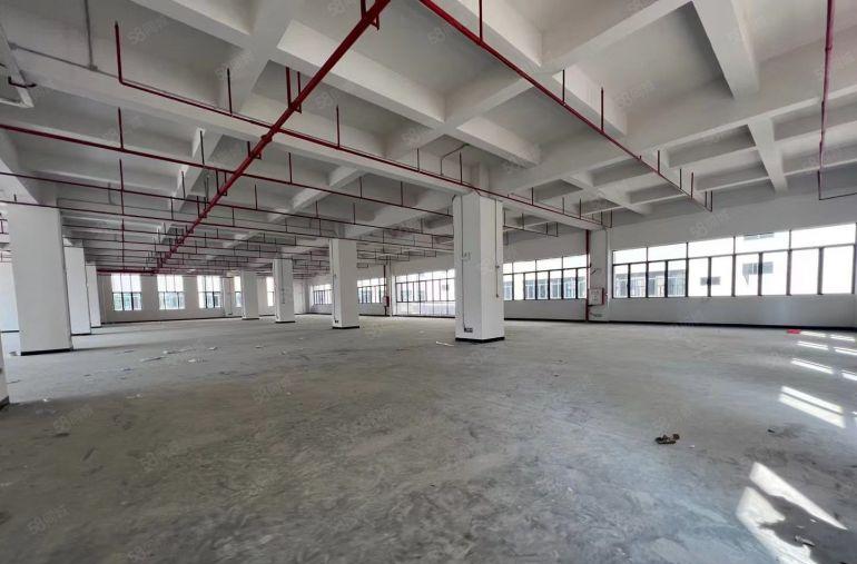 沙湖花园式红本厂房出租1500平2楼，证件齐全，可办环评